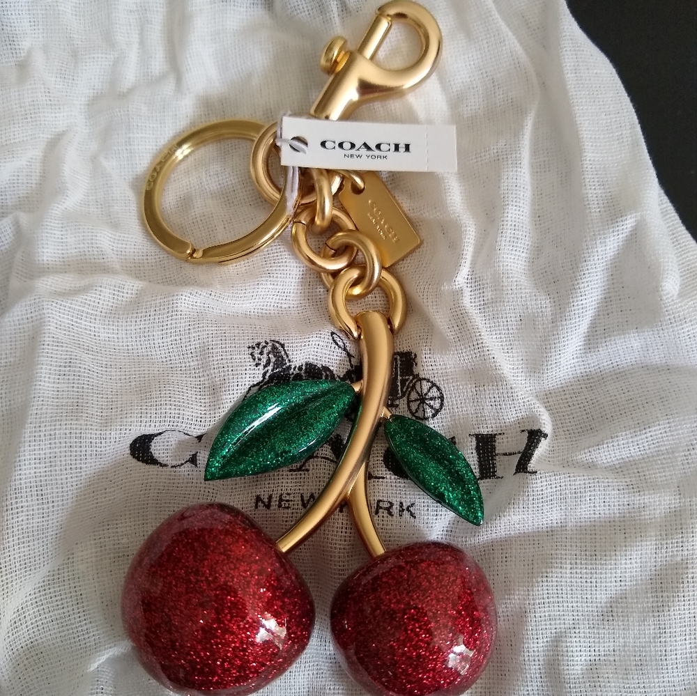 Coach key chain